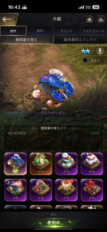 出品画像