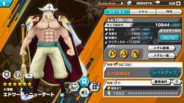 値下げ破格！超フェス4体新白髭100閻魔ゾロ100エースヤマト　ニカ