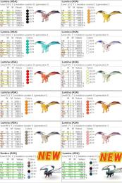 🎨 アンブラ ルミナ   全38カラー ✨ 即納OK／高レベル・高ステ個体多数出品中！