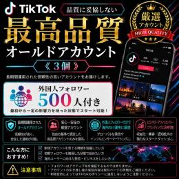 最高品質オールドアカウント《3個》【品質に妥協しない】外国人フォロワー500人付き