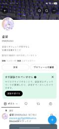 X引退垢　フォロワー日本人男性多め　シャドウバン無