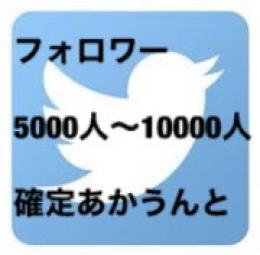【ガチ🔥最安値🔥】フォロワー5000〜10000人気取り垢