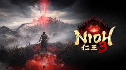 【即対応】 仁王3 既存データ強化 6600円　STEAM