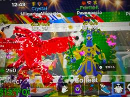 🌈新エターナル🔥 フットボール3変異　Pavonaccio クリアリガトもセット❗️