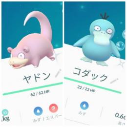 東京産色違いヤドン コダック 通常マネネ アカウント販売