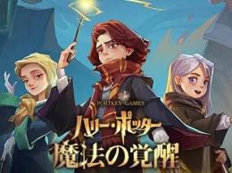ハリーポッターと魔法の覚醒(引退垢)
