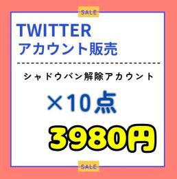 ✨ 検索に載るTwitter(X)アカウント✨１０点セット 