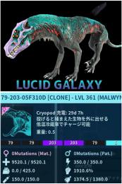 RARE SUPPORT LUCIDGALAXYマルウィン 12/28🆙