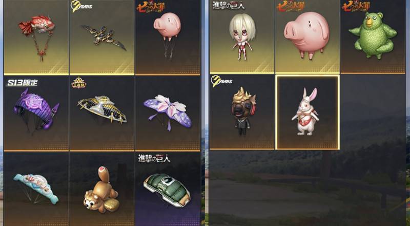 出品画像