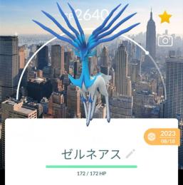 激レア！✨色違いゼルネアスニューヨーク背景付き！🎉🎉