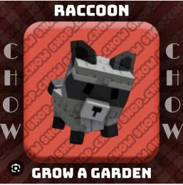 【庭を成長させる】Raccoon 無言購入⭕️