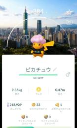 ハチワレカワイイさま専用