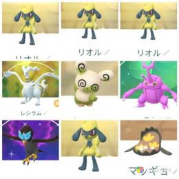 色違いレシラム ヘラクロス パッチール リオル4他通常リオル27アカウント販売