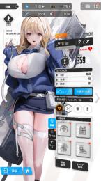 新ニケ　ティア　SSR10体