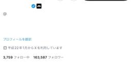 超破格🔥【影響力大✨/多国籍フォロワー16万人🔥】 フォロ爆一切無し❌