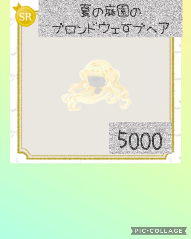 出品画像