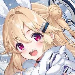 異極石27000-35000個+超源質150-180個+鑑定申請書54枚+その他 初期垢