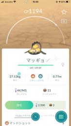 色違いマッギョ。アカウント販売