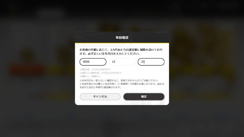 出品画像
