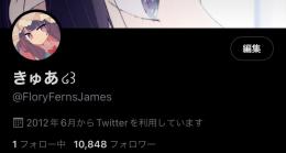 Twitter日本人10000フォロワー