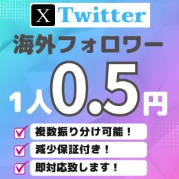 Twitter☆フォロワー1万人増加します☆高品質！減少補償付き！秘密厳守！