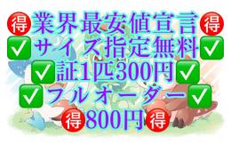 ✅サイズ指定無料✅証〜300円✅全ポケモン対応✅フルオーダー✅