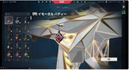 引退アカ champions22,23,24,25 VCT Lock/in等 その他人気スキン所持