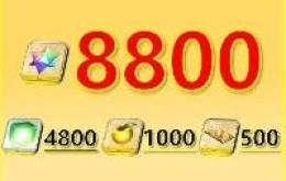 最大数 聖晶石8800個+呼符500枚+果実1000枚+マナプリズム4800枚+その他！