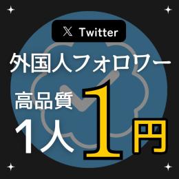 専用出品【少数増加可能】X（Twitter）フォロワー増加サービス