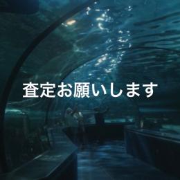 査定してほしいです！