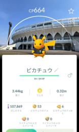 ぎるかぷさま専用