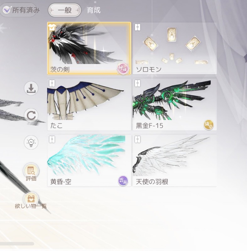 出品画像