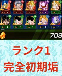 IOS【完全未進行・龍石700個】🔥10周年コンプ、技身勝手、速LRジレン🔥