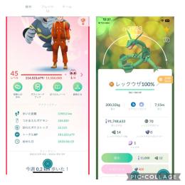 🔥2020年垢 🔥TL45🔥伝説体値MAX：2体 🔥体値MAX：640体