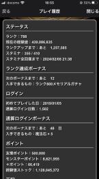 魔法石1544個　引退品です