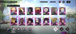 SSR29体【完凸複数所有】