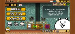 にゃんこ引退垢