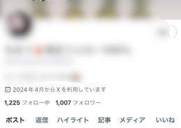 【 影響力 大￤検索載る🔥】🇯🇵日本人フォロワー1,007人 高アクティブ垢🌈