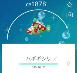 【色違いアカウント】ハギギシリ2、ホリデーウールー3