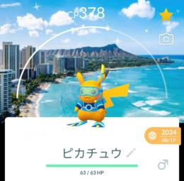 激レア！✨色違いピカチュウハワイ背景付き！🎉🎉