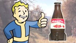 PS4/5 Nuka-Cola Cranberry x1000