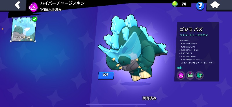 出品画像