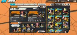 🔥破格🔥❕急ぎ❕青シャンクス100黒ひげ100キング、ハクバ、エリザベローあり❕即購入可能❕