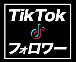 ☘TikTokフォロワー増加☘ ̖́-🌸業界最安値🌸