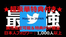 【★特典PDF付き★】コンサル生に人気の育成済みアカウント（フォロワー数1000人以上）