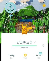 激レア！✨可愛いXXSピカチュウ色違いLEGO背景付き！🎉🎉
