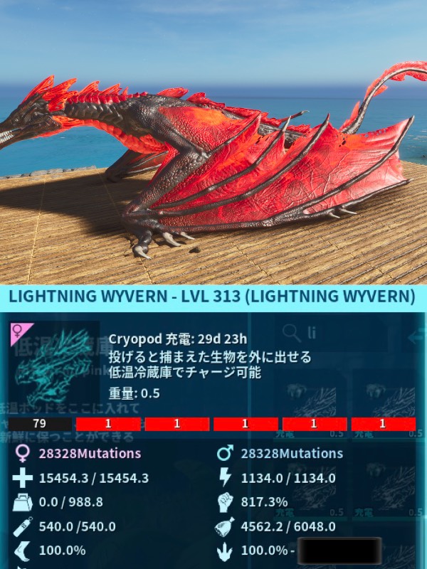 出品画像