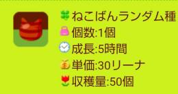 ねんばんランダム種