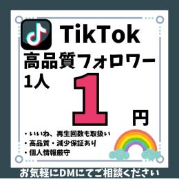 アカウント振り分けもOK💎【TikTok】高品質フォロワー1,000人増加✨減少保証あり💎