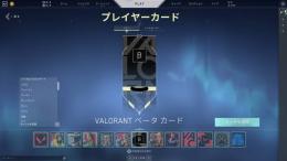 ベータプレイヤーカード　古参アカウント　ファースト　VER 1.0 所持